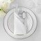 Lann's Linens Set of 12 Cloth Dinner Napkins, 17-inch Polyester Napkins, Washable and Reusable Fabric for Weddings, Hotels, Restaurants